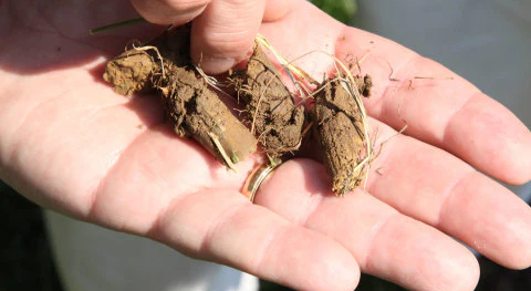 b18fvfxgcsqk9nnjioq6